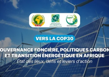  Appel à manifestation d’intérêt : Vers la COP30